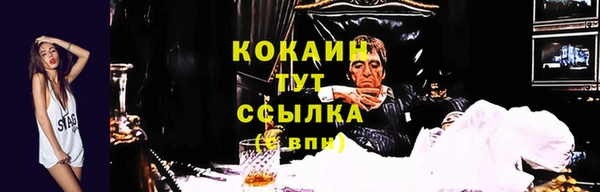 прущие крисы Балахна