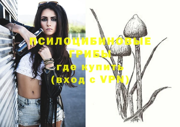 прущие грибы Белоозёрский