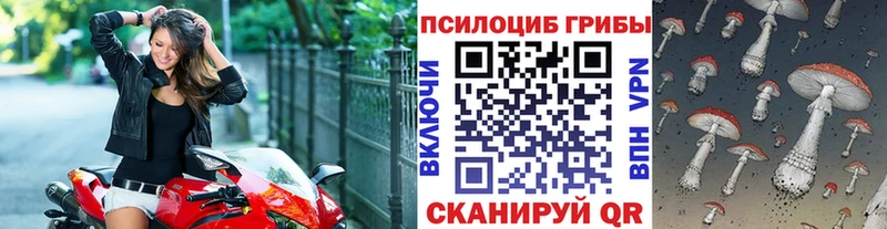 Псилоцибиновые грибы Psilocybine cubensis Афипский