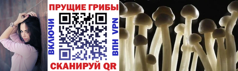 Галлюциногенные грибы прущие грибы  как найти закладки  Афипский 